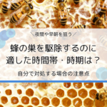 蜂の巣を駆除するのに適した時間帯・時期はいつ？自分で対処する場合の注意点も解説