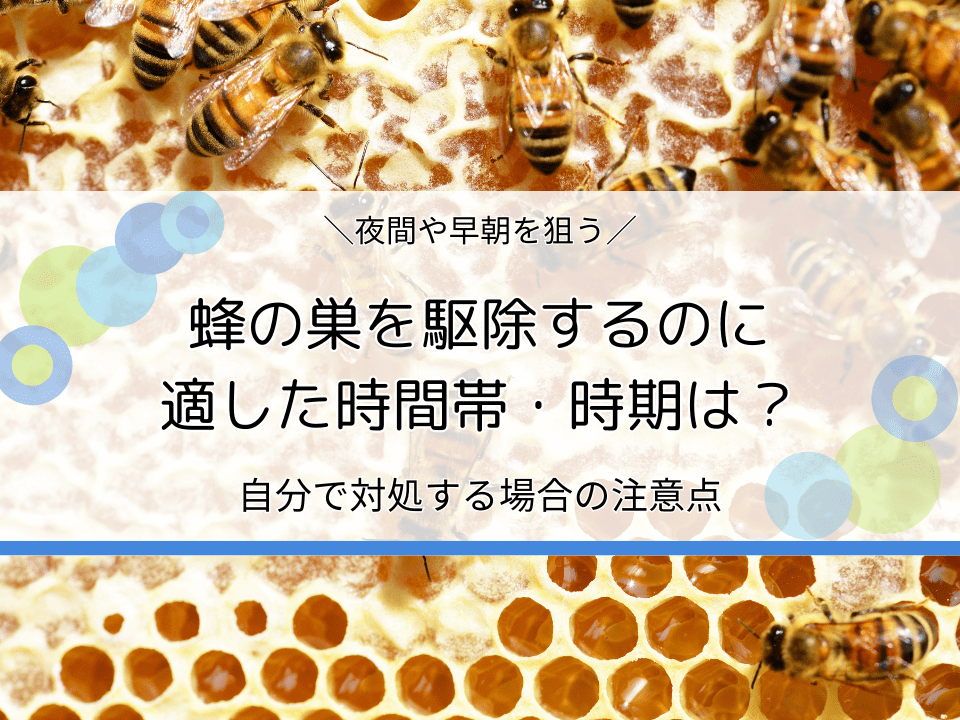 蜂の巣を駆除するのに適した時間帯・時期はいつ？自分で対処