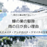 蜂の巣駆除は雨の日が良い？スズメバチ・アシナガバチ・クマバチの生態を解説