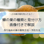 蜂の巣の種類と見分け方を画像付きで解説｜作り始めの巣の駆除方法・予防方法