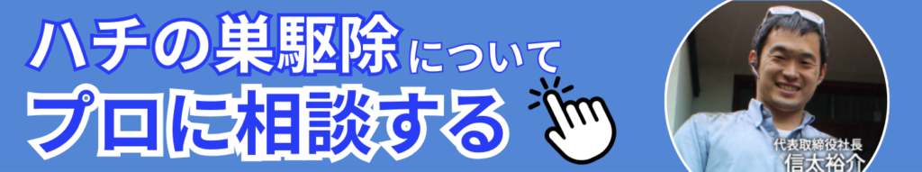 蜂の駆除はプロに相談